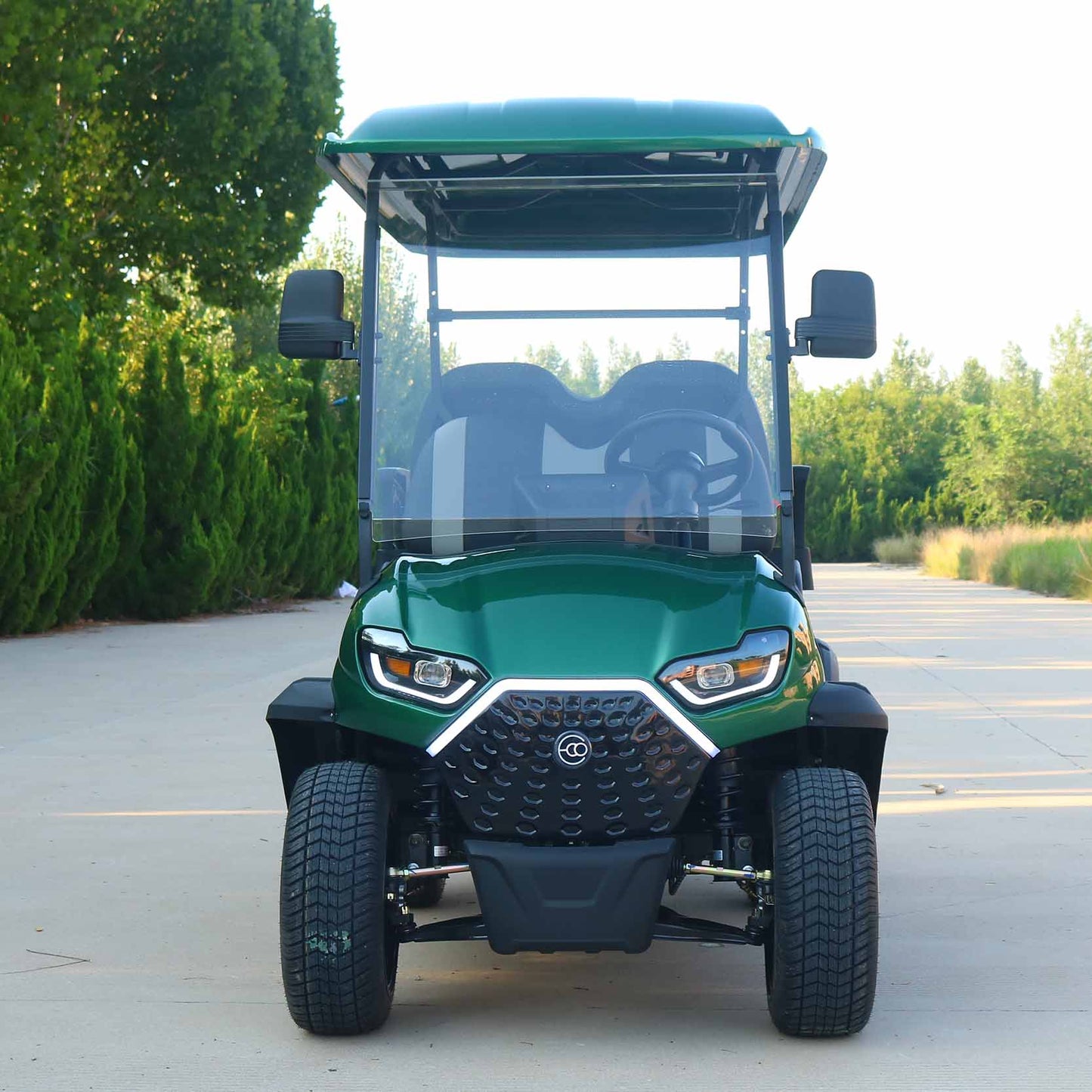 4-Seater Electric Golf Cart – 48V 5KW AC with 80-100km Range | YIPU-GC-B 2S+2S