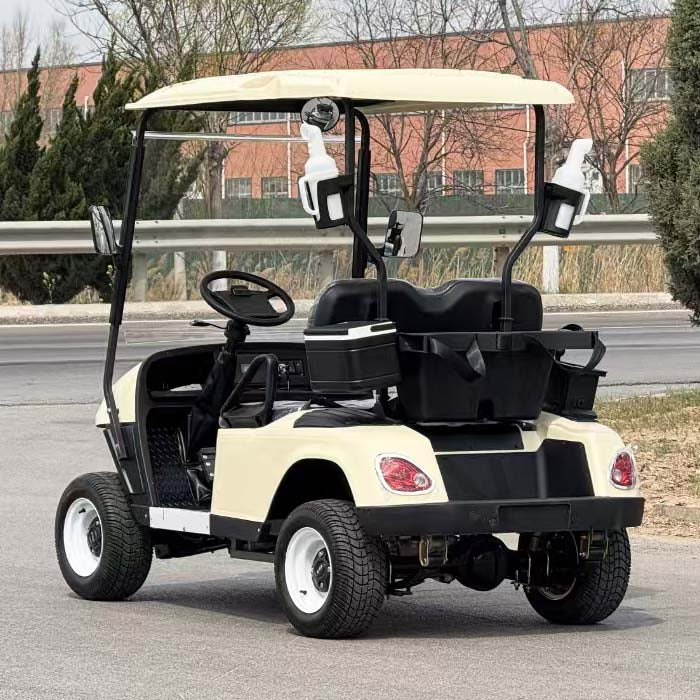 2-Seater Electric Golf Cart with Multimedia Screen | Multi-Purpose Utility Vehicle | YIPU-GC-O 2S