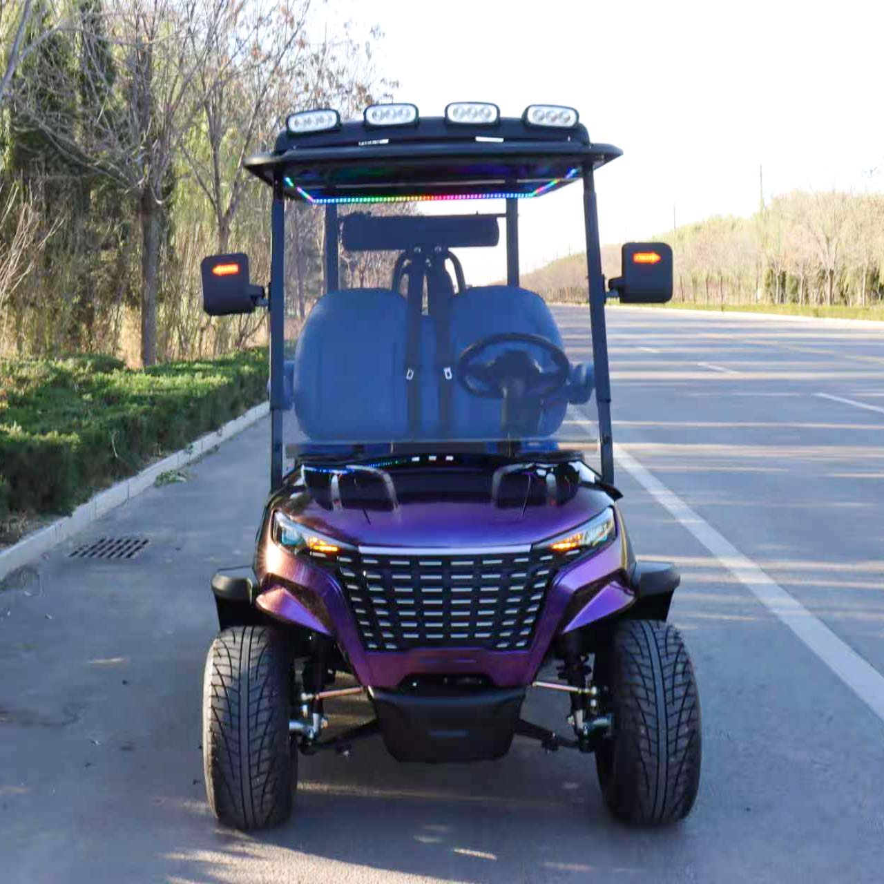 4-Seater Electric Golf Cart with Multimedia Screen | Multi-Purpose Utility Vehicle | YIPU-GC-F 4S