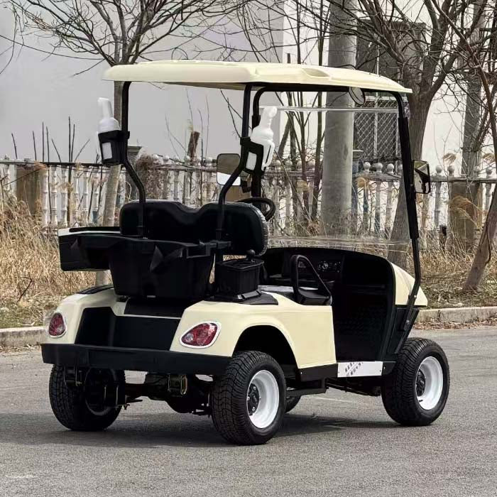 2-Seater Electric Golf Cart with Multimedia Screen | Multi-Purpose Utility Vehicle | YIPU-GC-O 2S