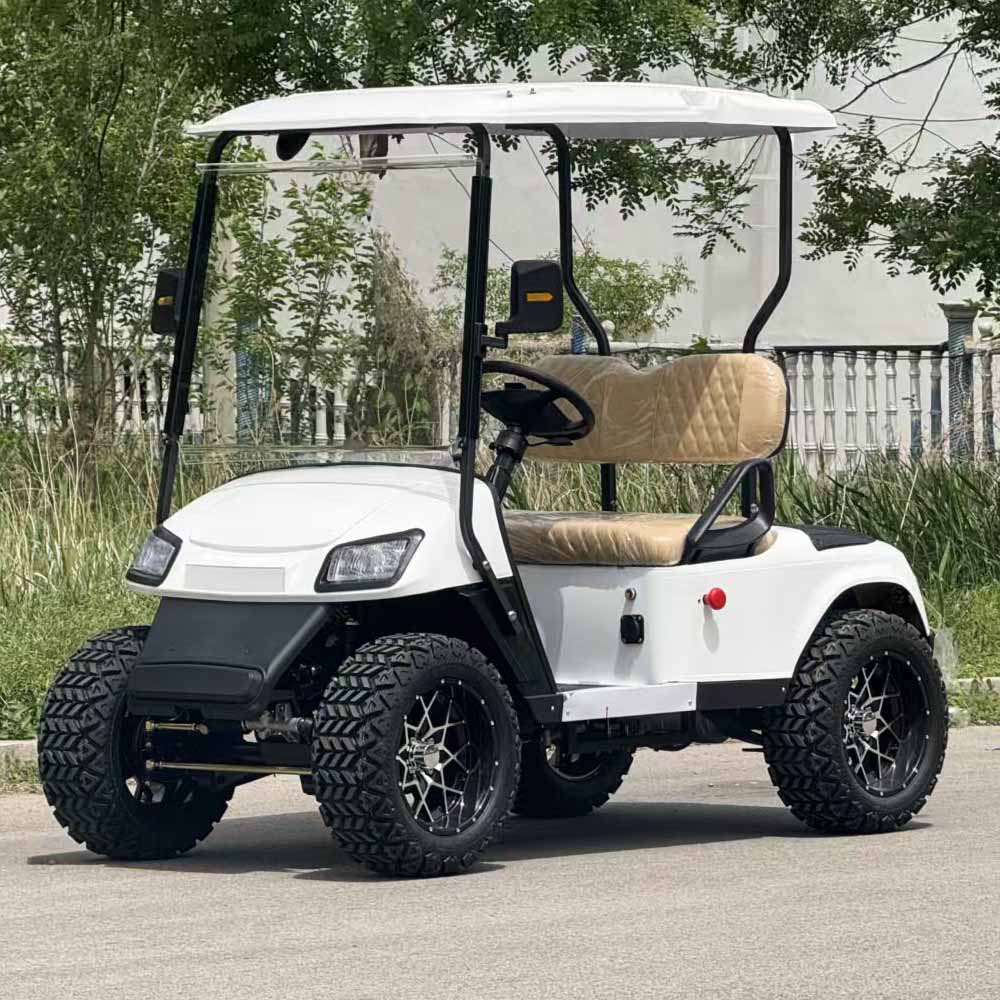 2-Seater Electric Golf Cart with Multimedia Screen | Multi-Purpose Utility Vehicle | YIPU-GC-O 2S