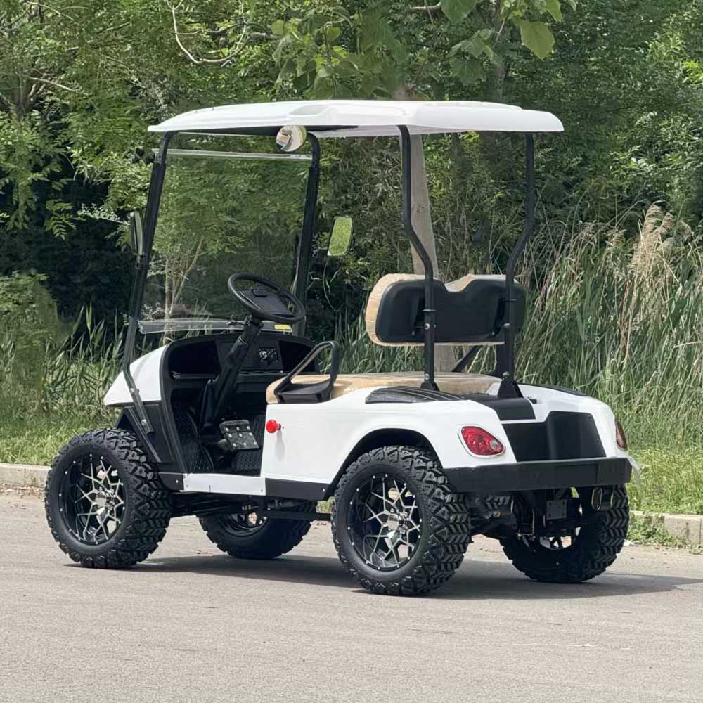 2-Seater Electric Golf Cart with Multimedia Screen | Multi-Purpose Utility Vehicle | YIPU-GC-O 2S